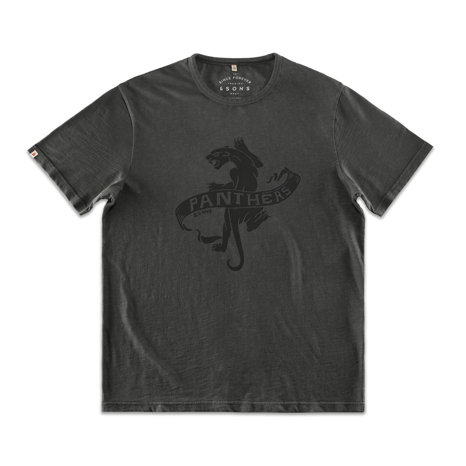 Panthers Slub T-Shirt Black Fade - Image 7